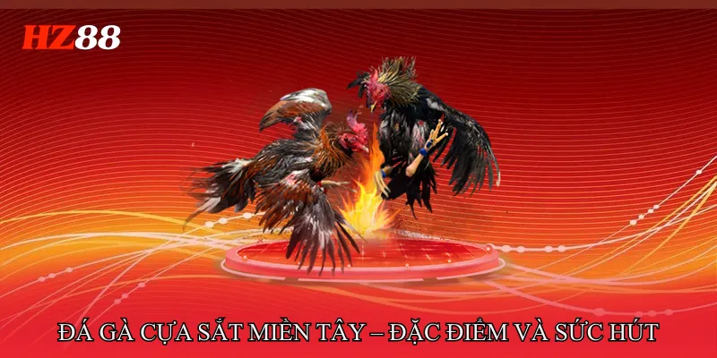 Đá Gà Cựa Sắt Miền Tây Luật Thi Đấu Chuẩn Nhất Cho Người Mới 2 Đá Gà Cựa Sắt Miền Tây – Đặc Điểm Và Sức Hút