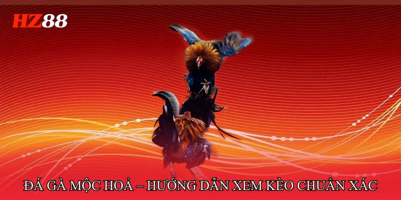 Đá Gà Mộc Hoả – Khám Phá Chiến Kê Ngũ Hành Chuẩn Xác 4 Đá gà mộc hoả – Hướng dẫn xem kèo chuẩn xác