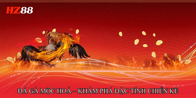 Đá Gà Mộc Hoả – Khám Phá Chiến Kê Ngũ Hành Chuẩn Xác 2 Đá gà mộc hoả – Khám phá đặc tính chiến kê