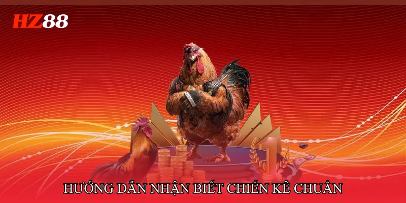 Đá Gà Mộc Hoả – Khám Phá Chiến Kê Ngũ Hành Chuẩn Xác 3 Đá gà mộc hoả – Hướng dẫn nhận biết chiến kê chuẩn